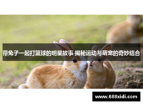 带兔子一起打篮球的明星故事 揭秘运动与萌宠的奇妙结合