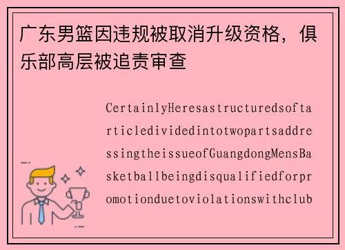 广东男篮因违规被取消升级资格，俱乐部高层被追责审查